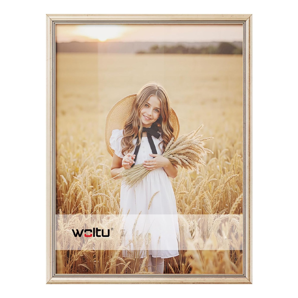 Фото рамка Woltu Artos  7187074 DC  За стена  С пластмасов защитен панел  Дърво  30 x 40 см  Златист