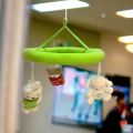 Бебешка играчка Chippo 21-99-165 1-113, За закачане, Висящи зайче, агънце и мече, 27 х 26 см, Многоцветен _0