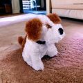 Плюшена играчка Chippo 21-99-231 1-117, Куче, Mек плюш, 27 см, Бял_0