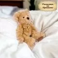 Плюшена играчка Chippo Разказвач на Истории, 21-133-27-04 1-102, Мечо разказва една приказка и пее една песен на български, 35 см, Кафяв_0