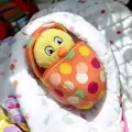 Плюшена играчка Chippo 21-66-318, Пиле, 20 х 10 см, Оранжев/Жълт_0
