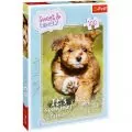 Пъзел Trefl Sweet and Lovely 1162653 1-70, 100 части, 41 x 27.5 см_0
