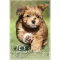 Пъзел Trefl Sweet and Lovely 1162653 1-70, 100 части, 41 x 27.5 см_1